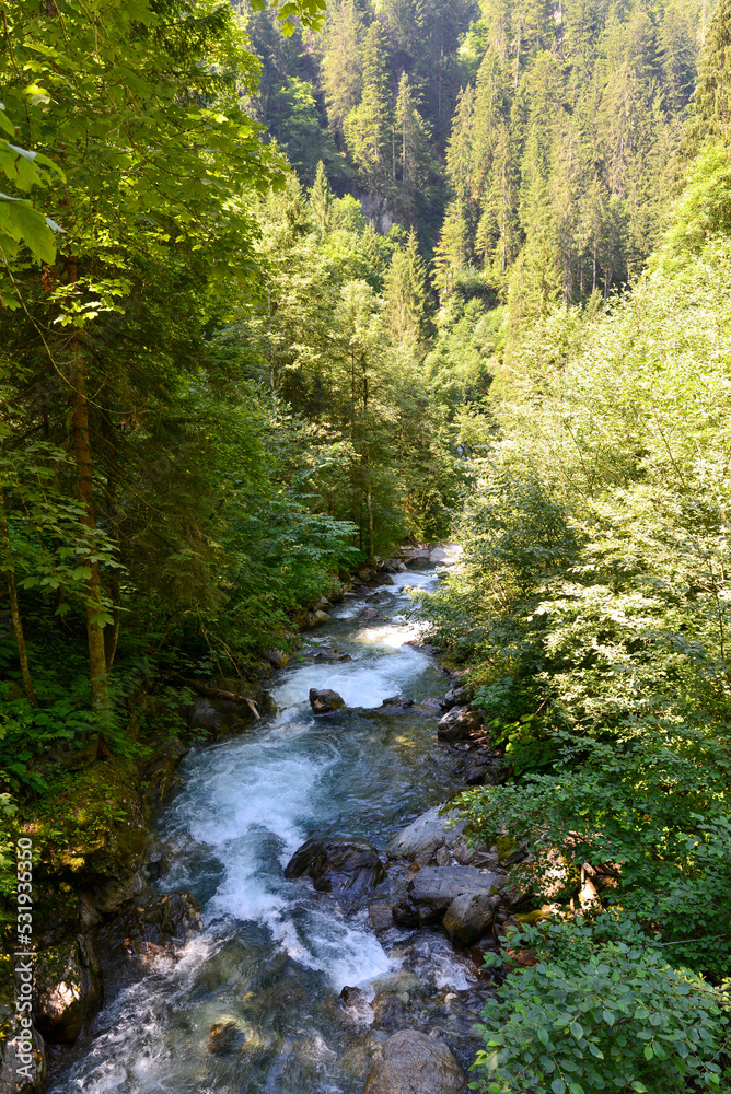 Litzibach in Silbertal im Bezirk Bludenz in Vorarlberg (Österreich)