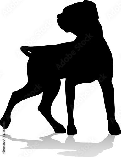 Dog Silhouette Pet Animal photo