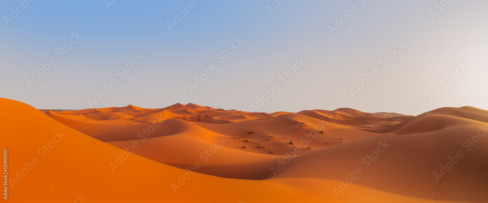 Beautiful sand dunes in the Sahara desert at sunrise - Sahara, Morocco - obrazy, fototapety, plakaty 
