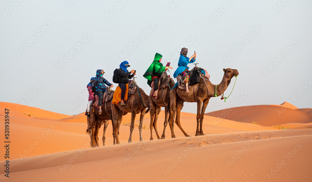 Tourists on safari - Caravan of camel in the sahara desert of Morocco at sunset time - obrazy, fototapety, plakaty 