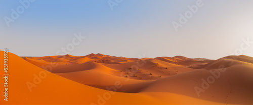 Beautiful sand dunes in the Sahara desert at sunrise - Sahara, Morocco photo