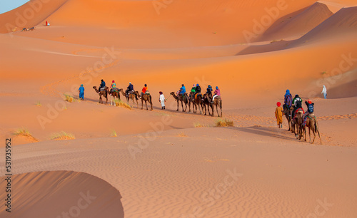 Tourists on safari - Caravan of camel in the sahara desert of Morocco at sunset time