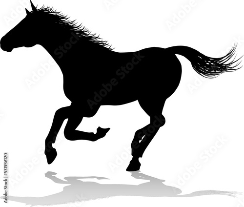 Horse Silhouette Animal