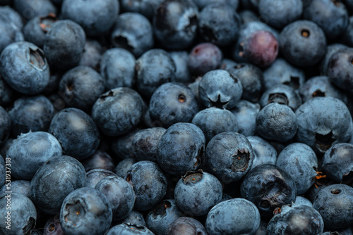 blueberries background. banner, menu, recipe place for text, top view