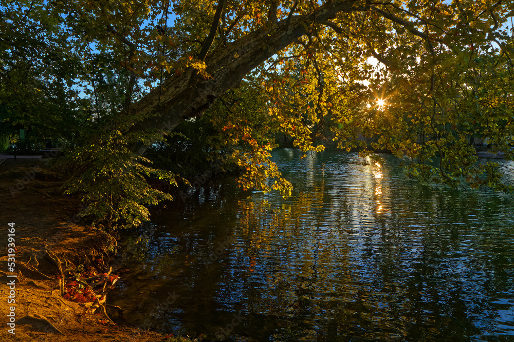 Sun rises through the trees over the lake of Parc de la Tête d'Or