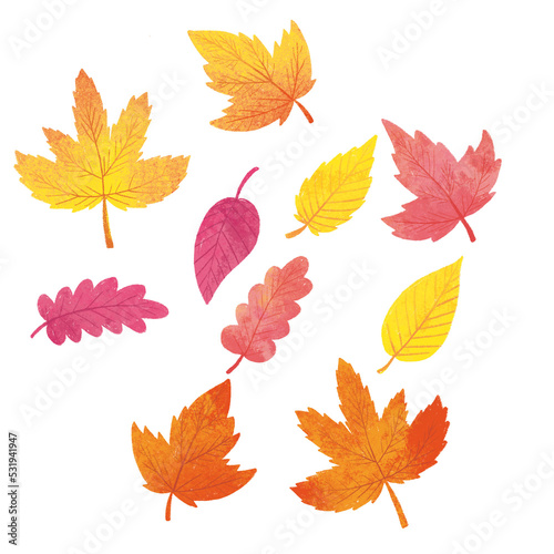 autumn leaves collection PNG