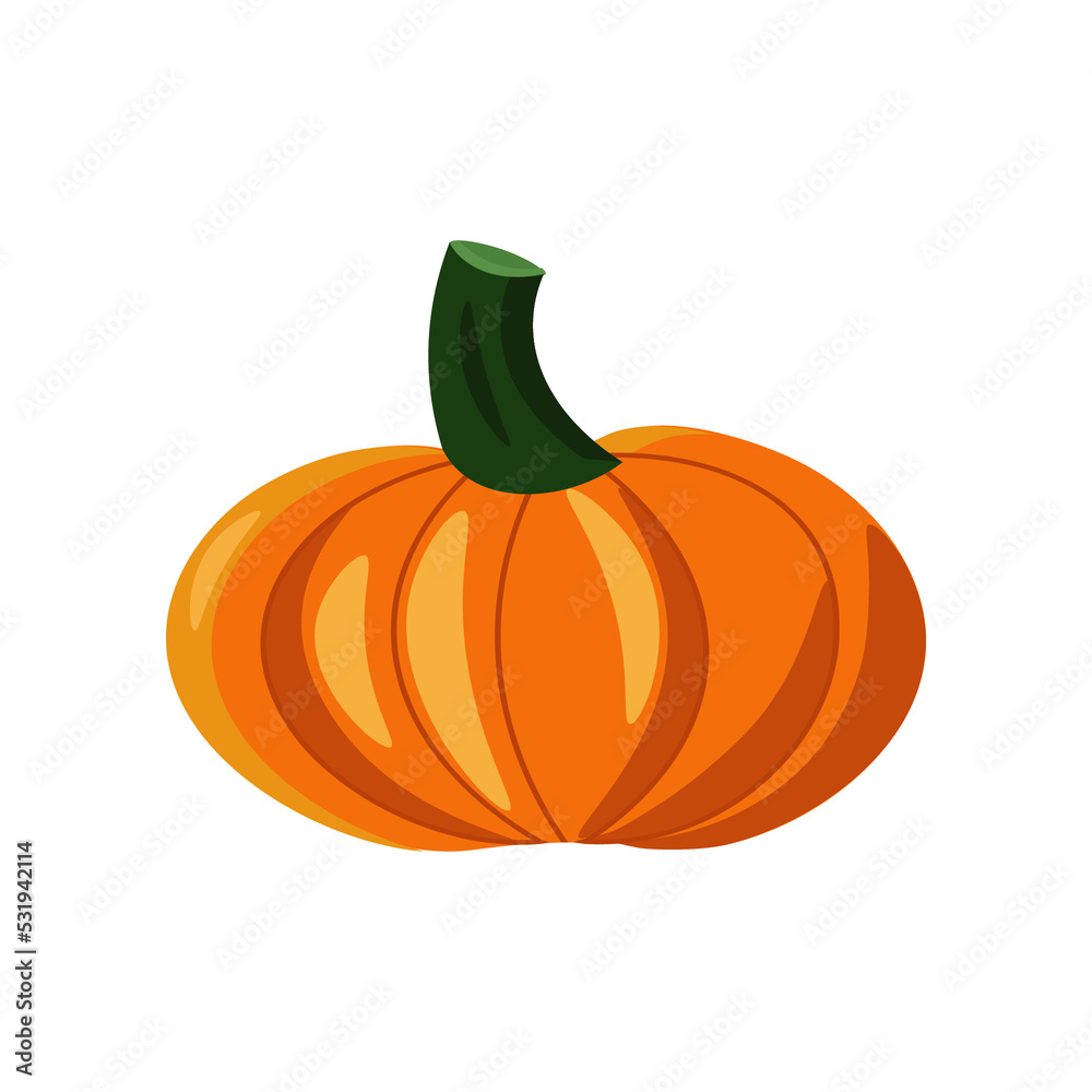Obraz premium Pumpkin - fresh vegetables. Vector illustration isolated on white background. Icons and logos. For cafes, restaurants and menus, fabrics and scrapbooking, farms and markets, packaging and decor.