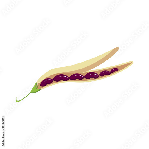 A pod of ripe red beans. Vector illustration isolated on white background. Icons and logos. For cafes, restaurants and menus, fabrics and scrapbooking, farms and markets, packaging and decor.