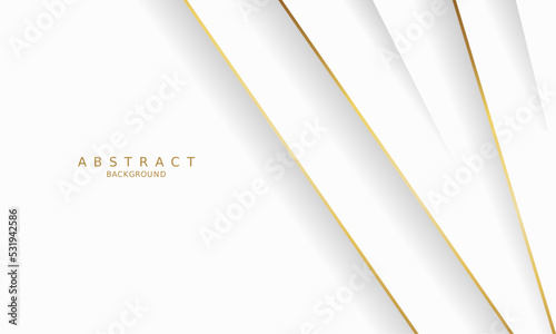 white luxury premium background and gold line.