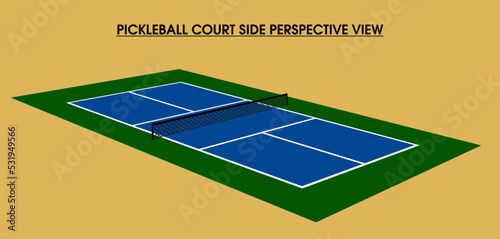 Pickleball Court Side Perspective View vector