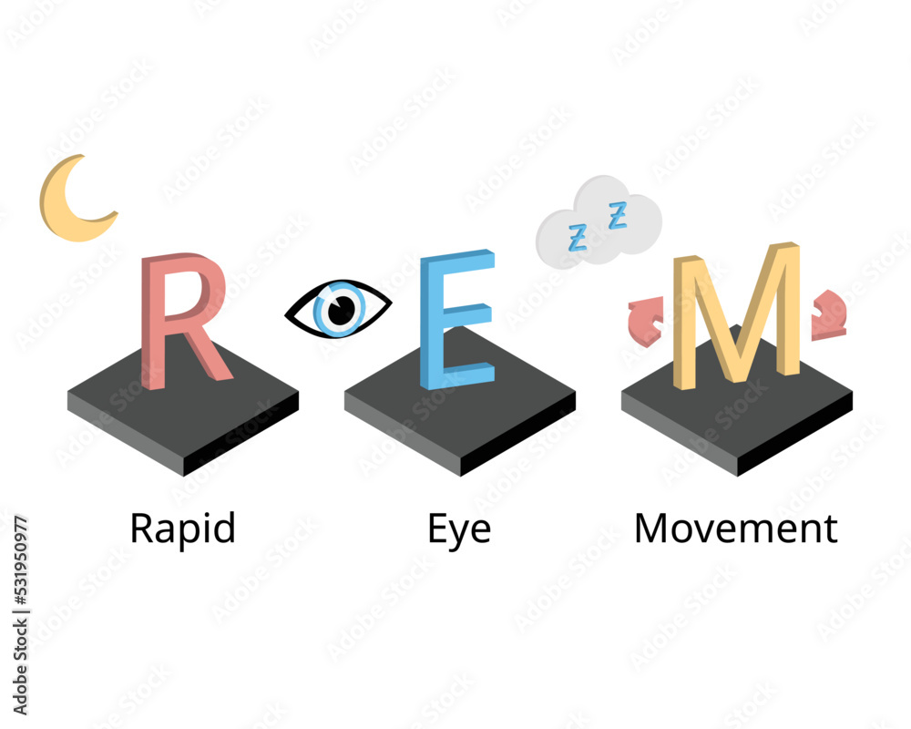 REM or rapid eye movement in sleep circle which is the sleep stage that