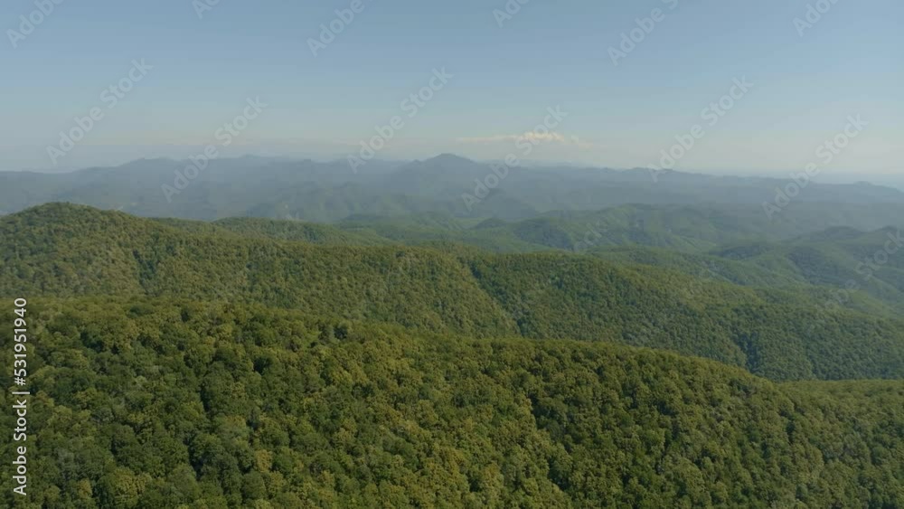 Flight over the hills covered with green trees. Fog. Green mountains. Wildlife. Aerial drone 4k footage. Flight over the hills covered with green trees. Fog. Green mountains. Wildlife. Aerial drone 4k footage.