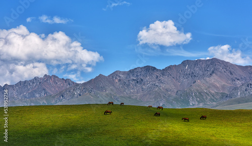 Several horses graze in a picturesque mountainous area