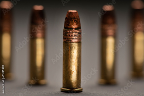 .22lr rounds, rimfire ammunition. Pest control and plinking. Close up, photo