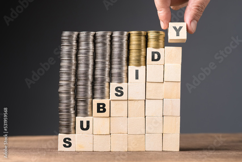 Hand arrange the heaps of coins onto the step wood cubes, subsidy money concept photo