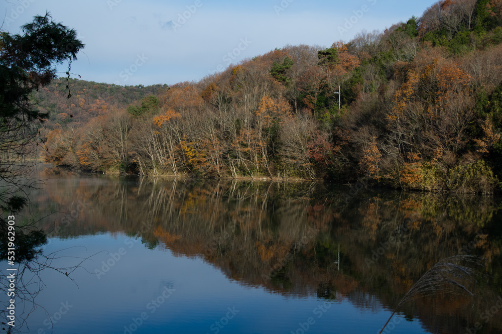 千丈寺湖(兵庫県)の夜明け
