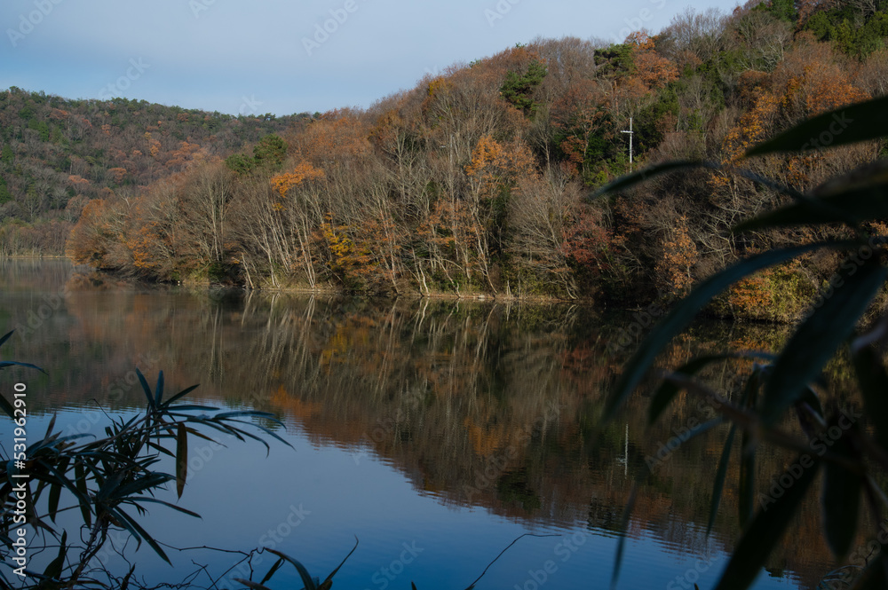 千丈寺湖(兵庫県)の夜明け