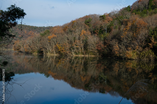 Obraz na płótnie 千丈寺湖(兵庫県)の夜明け w salonie