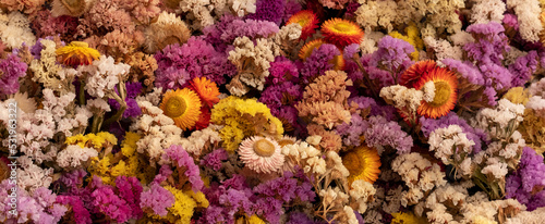Mass of colourful dried flowers, photographed with a macro lens at a garden in Wisley, Surrey UK. © Lois GoBe