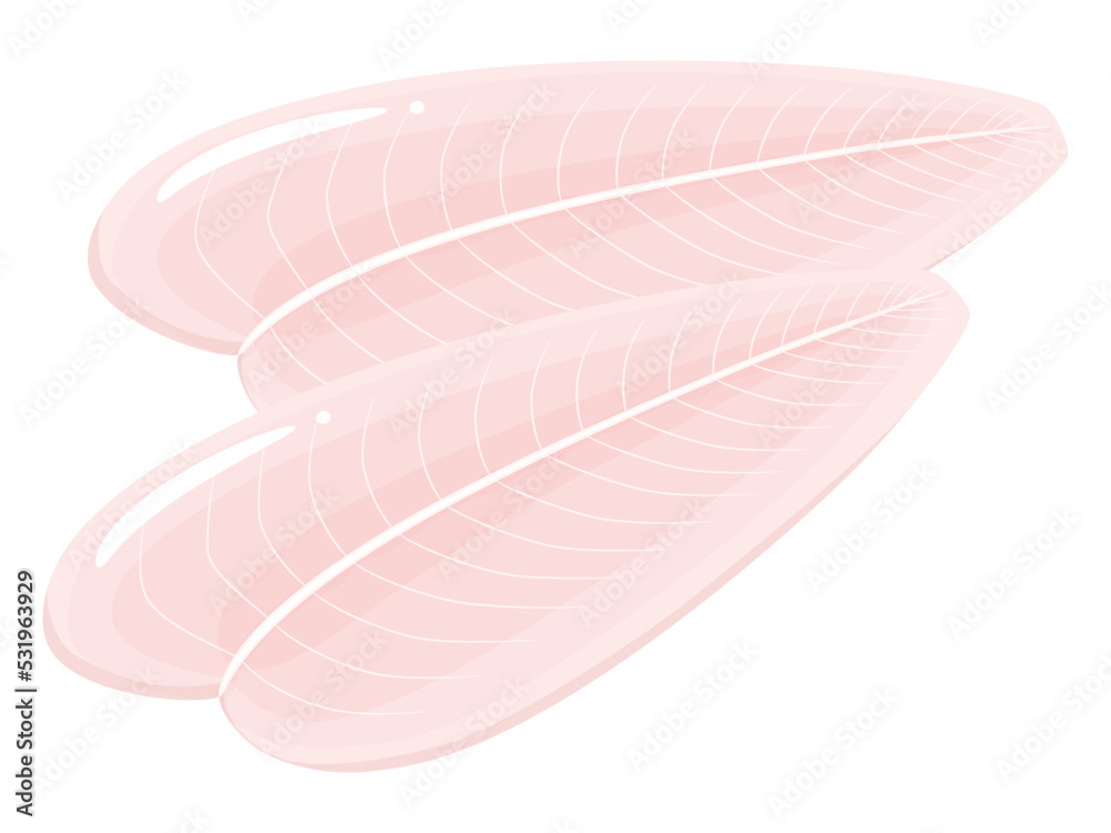 パンガシウス_白身魚のイラスト_2切れ パンガシウス_白身魚のイラスト_2切れ