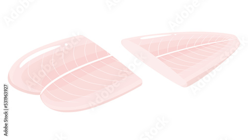 パンガシウス_白身魚のイラスト