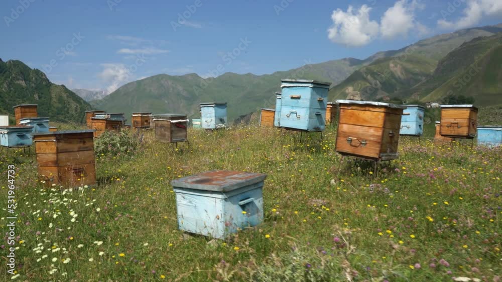 A beehive made of wood stands in the apiary. The houses of bees are placed on the green grass in the mountains. Private enterprise for beekeeping. Honey healthy food products. A beehive made of wood stands in the apiary. The houses of bees are placed on the green grass in the mountains. Private enterprise for beekeeping. Honey healthy food products.