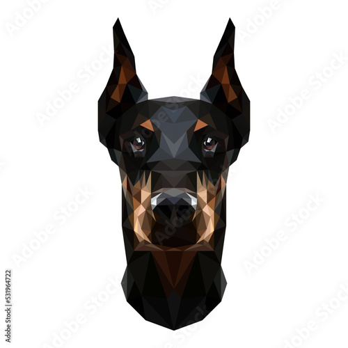 Doberman
