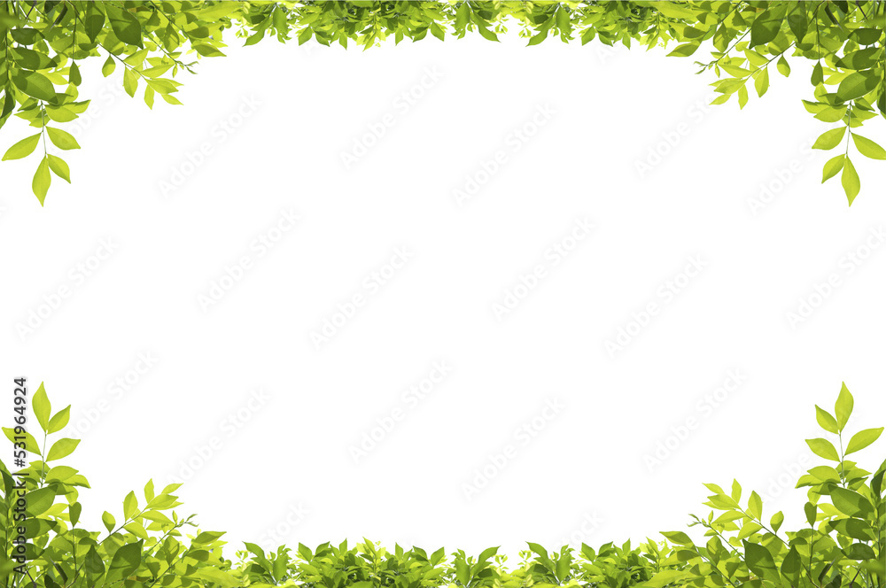 Green leaves border isolated, PNG transparent Stock Illustration Adobe Stock
