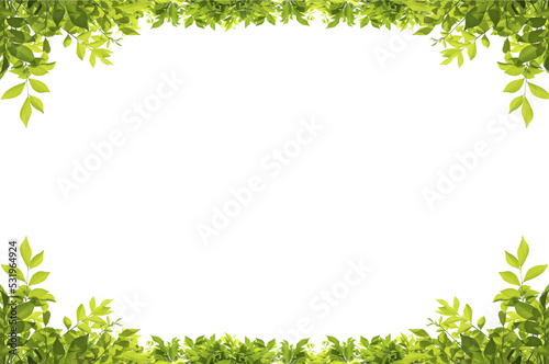 Green leaves border isolated, PNG transparent