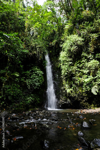 Waterfall falling through trees in the jungle into a beautiful natural water hole in the forests of tropical island Pohnpei  Federated States of Micronesia 