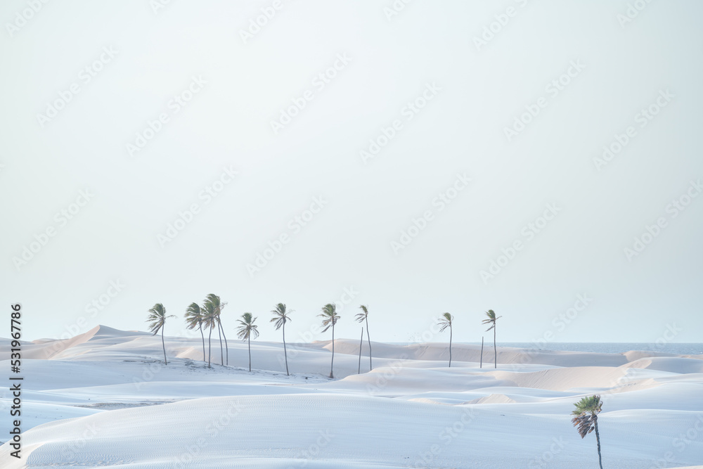 Paisagem natural em lençois maranhenses