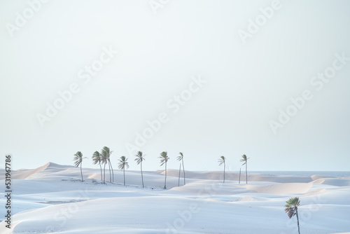 Obraz na płótnie Paisagem natural em lençois maranhenses w salonie