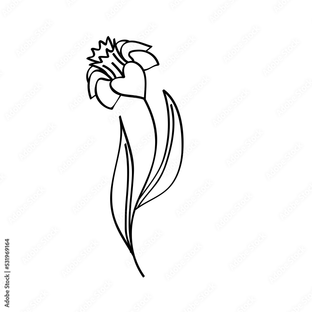 Flower line art illustration, outline decoration PNG Flower line art illustration, outline decoration PNG
