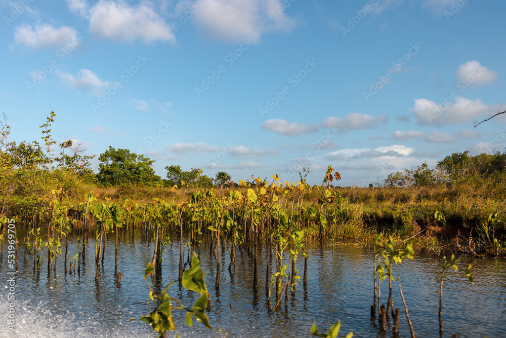 paisagem natural em atins maranhão