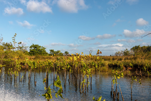 Obraz na płótnie paisagem natural em atins maranhão w salonie