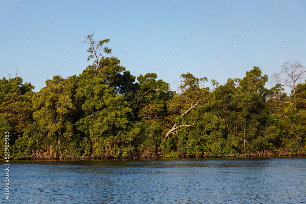 Paisagem lençois maranhenses