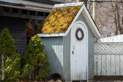 A grey wooden garden she shed with a shingled roof. The steep roof has yellow colored moss growing on top of the shingles. The white door has a curved shape with a small wicker wreath hanging off it. 