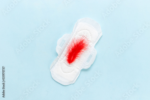 Menstruation period concept. White pad with red feather  top view