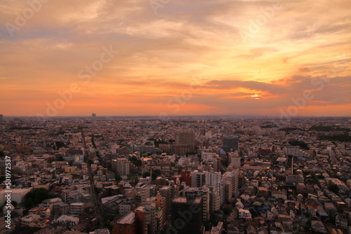 三軒茶屋にあるキャロットタワーから見る東京の夕景