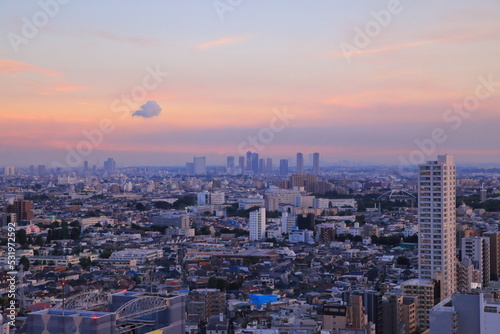 三軒茶屋にあるキャロットタワーから見る東京の夕景