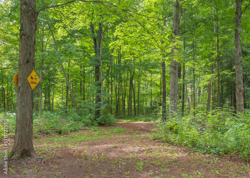 Dublin Line, Halton Hills, Acton, Ontario, 