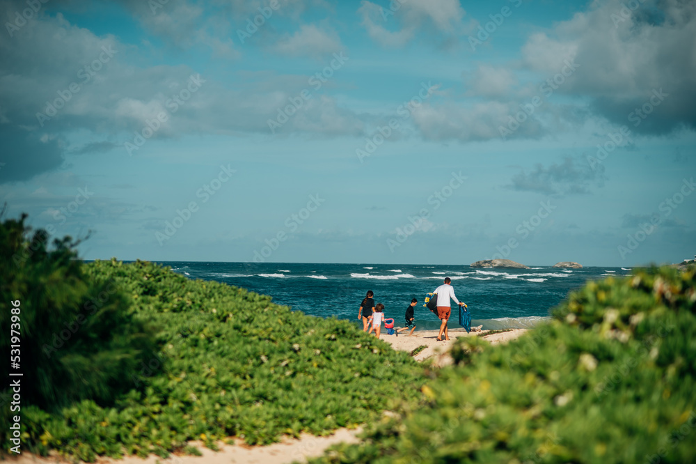 A family walks down a sandy path to a gorgeous Hawaiian beach