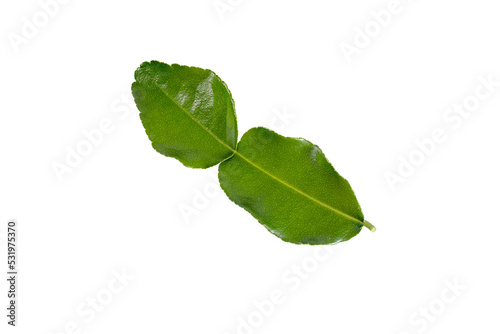 Top view of asian bergamot leaf