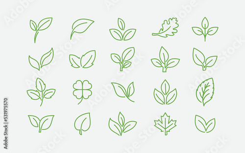 Green leaf ecology nature element in linear vector icon set, Leaf Icon pack, green leaf ecology nature element vector