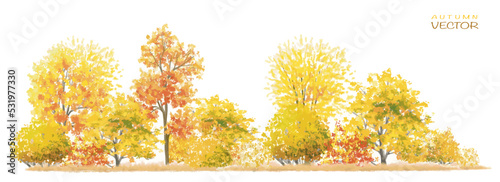 Vector autumn trees collection,watercolor blooming flower tree or forest side view isolated on white background for landscape and decorative ,elements for environment or and garden,botanical garden