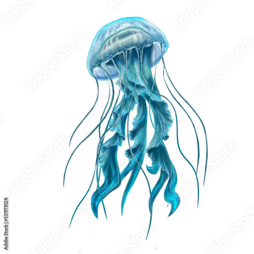 Obraz Blue jellyfish