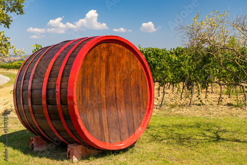 Wine barrel in vineyard  Tuscany  Italy