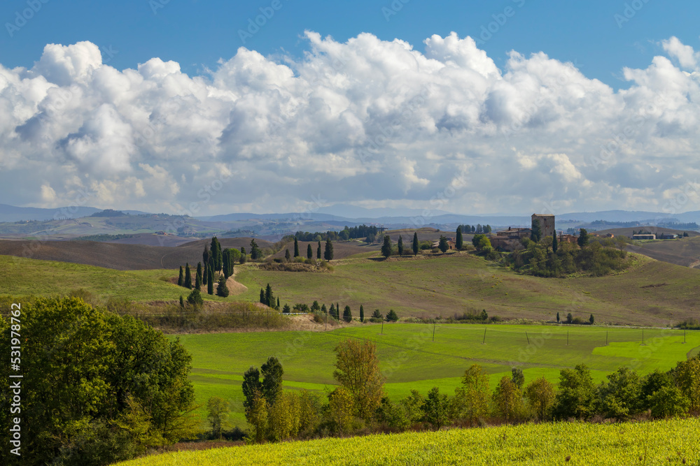Fototapeta premium Typical Tuscan landscape near Siena, Tuscany, Italy