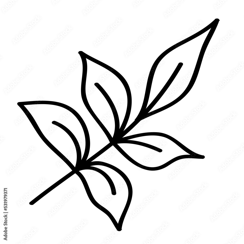 Leaf outline illustration, PNG with transparent background. Leaf outline illustration, PNG with transparent background.