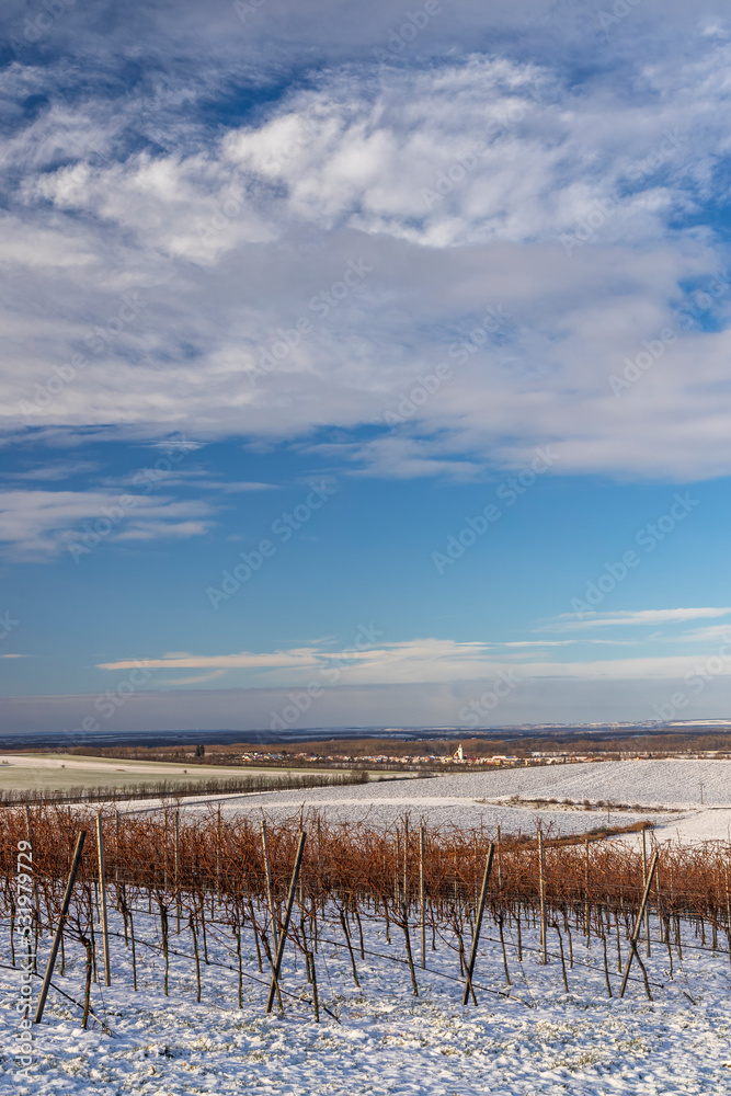 Winter landscape near Popice, Southern Moravia, Czech Republic